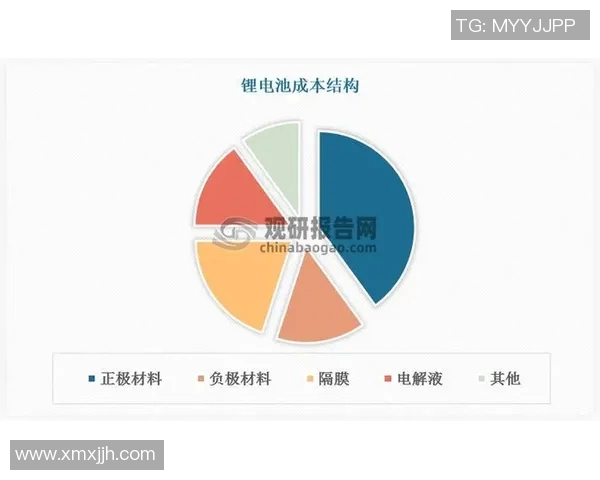 八一双鹿电池在国际市场的崛起与美国竞争的全景分析